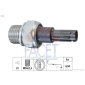 FACET 70203