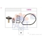 FACET 78841