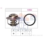 FACET 78800