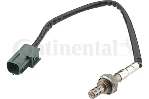 A2C59513881Z 