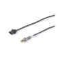 A2C59513238Z 