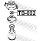 FEBEST TB002