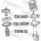 FEBEST TSI100D