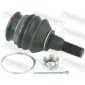 FEBEST 0820W10