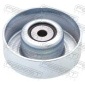 0188NCP100 Паразитный / ведущий ролик,