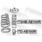 FEBEST TDAE100R