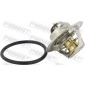 23462005 Thermostat, coolant