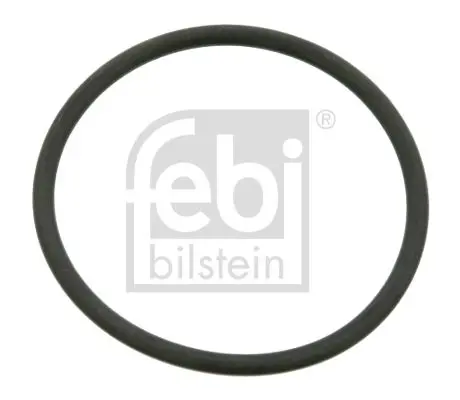 SEALING RING