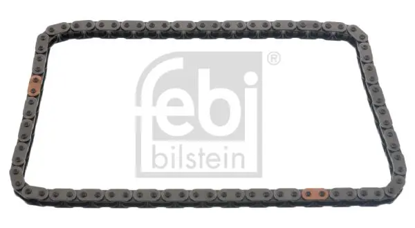 FEBI 48573 Цепь