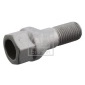 FEBI 21175