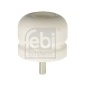 FEBI 17249
