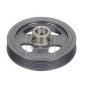 FEBI 103248
