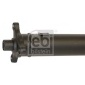 FEBI 174109