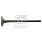 FEBI 17389