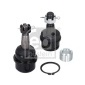 FEBI 41057