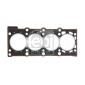 FEBI 12878