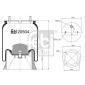 FEBI 20504