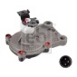 FEBI 45013