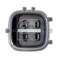 FEBI 175861