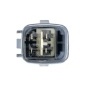 FEBI 177571