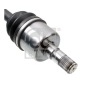 FEBI 181324