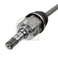 FEBI 184624