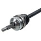 FEBI 182459