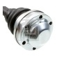FEBI 181276