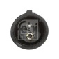 FEBI 45519