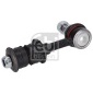 FEBI 31557