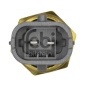 FEBI 28381