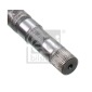 FEBI 182886
