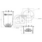FEBI 102808