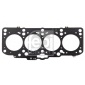 FEBI 105920