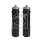 FEBI 171079