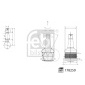 FEBI 178259