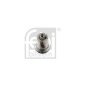 FEBI 13462