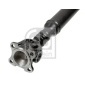 FEBI 174100