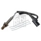 FEBI 177491