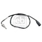 FEBI 185813