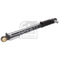 FEBI 100589