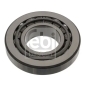 FEBI 49035