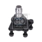 FEBI 12952