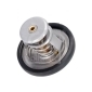 FEBI 106104