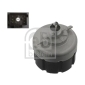 FEBI 35141