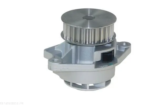 AUTOMEGA DELLO 160009010 Насос