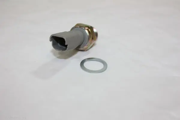 AUTOMEGA DELLO 150012010 Переключатель