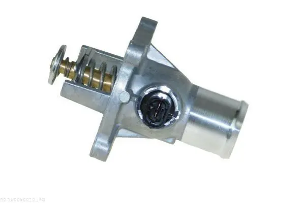 AUTOMEGA DELLO 160089010 Термостат