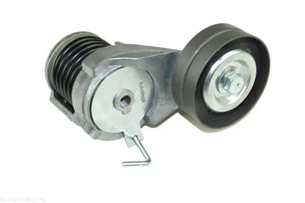 AUTOMEGA DELLO 210155810 Натяжная планка, поликлиновой