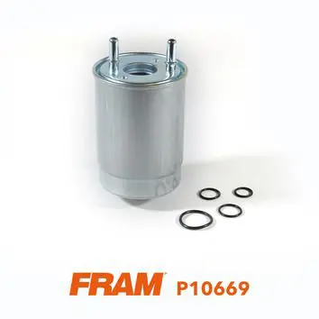 P10669 